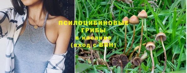 спайс Армянск