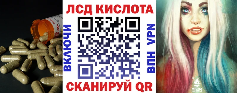 kraken как войти  Спасск-Дальний  Лсд 25 экстази кислота 