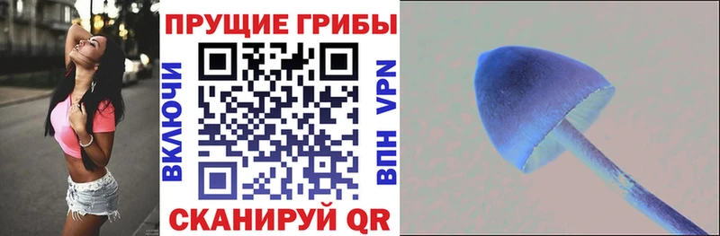 Псилоцибиновые грибы мухоморы  Спасск-Дальний 