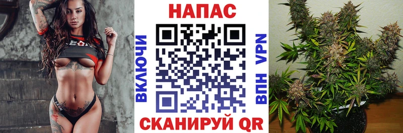 Каннабис план  Спасск-Дальний 